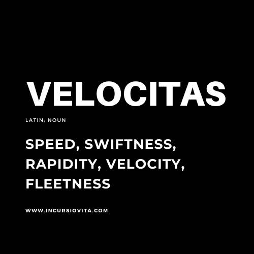 Incursio Velocitas (Coffee)
